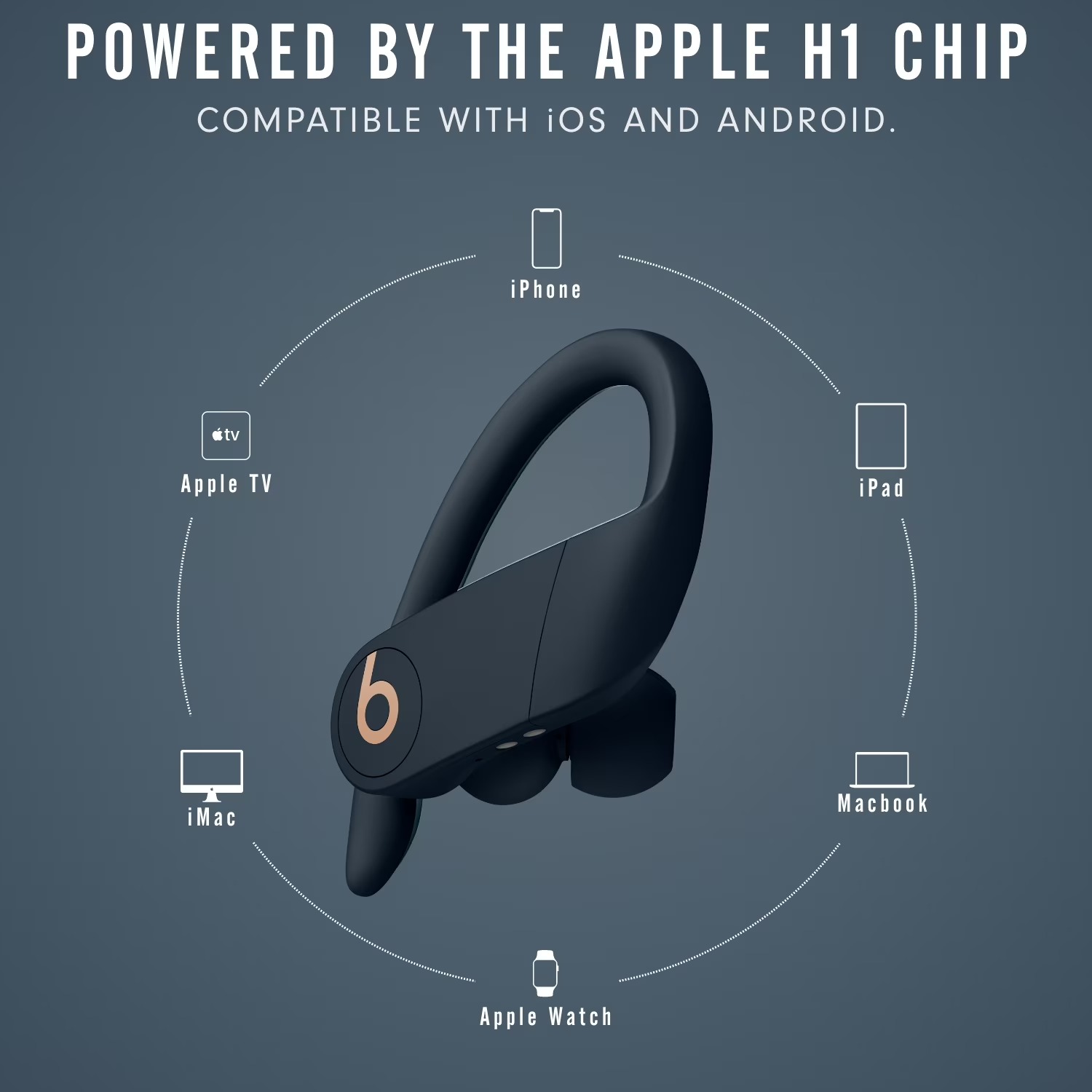 Beats Powerbeats Pro 이어폰, 5분 빠 - Beats Headphone Powerbeats Pro 리뷰 및 가격
